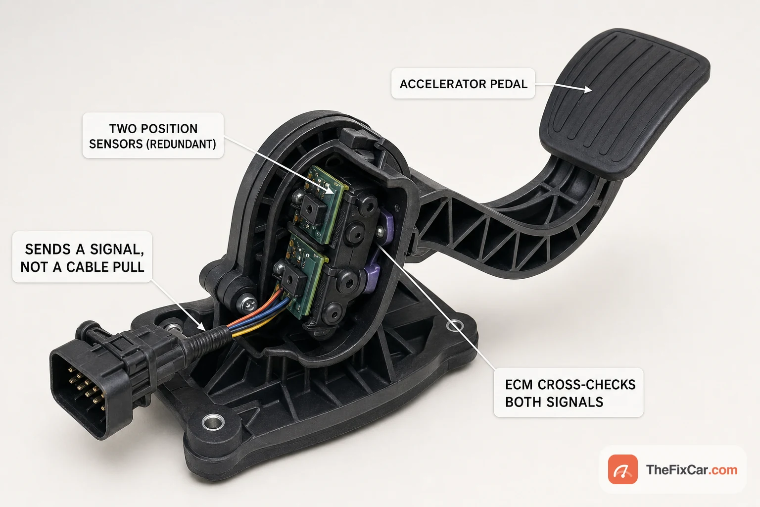Drive-by-wire accelerator pedal cutaway showing two redundant position sensors that send a signal instead of pulling a cable, with the ECM cross-checking both